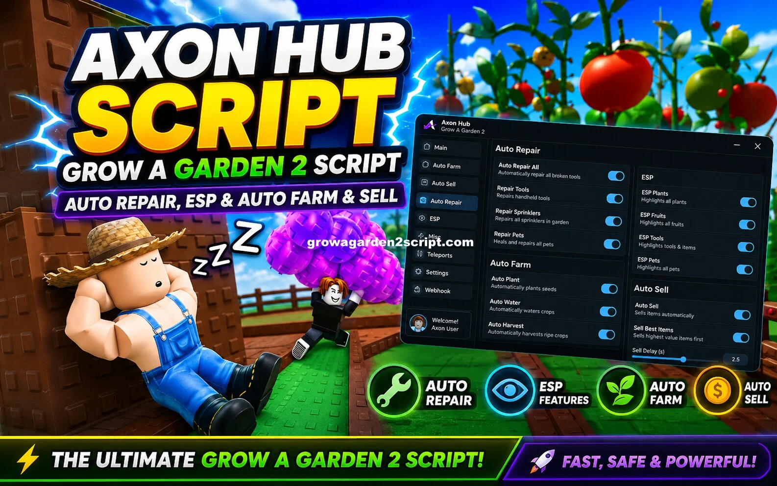 Axon Hub Script
